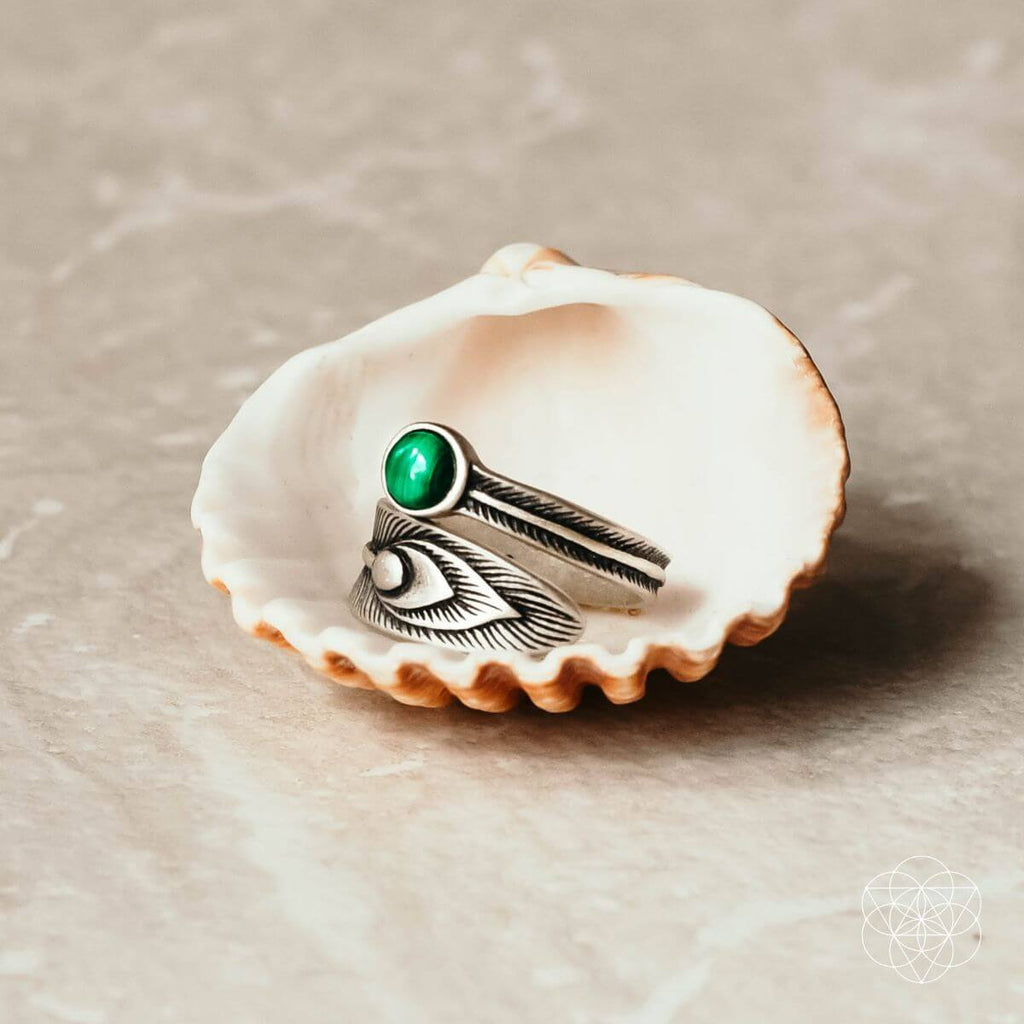 The Ring of Abundance